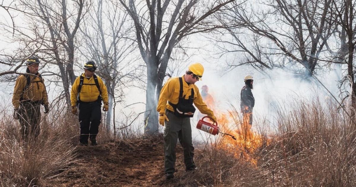 Fire Hiker