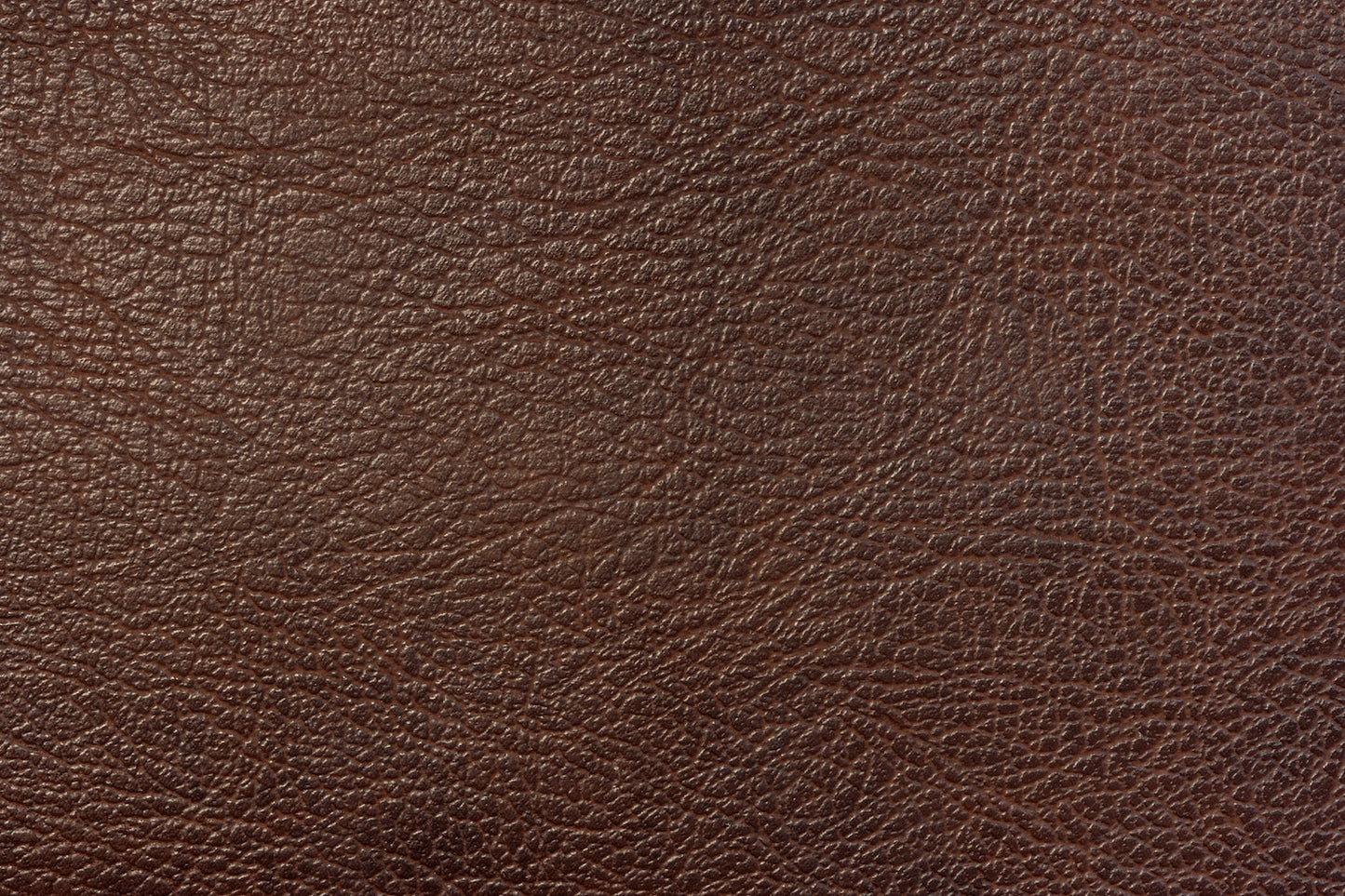 Men's Western Boots